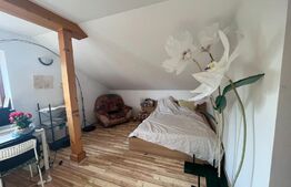 Casa 5 camere, 300 mp, teren, 750 mp, la 30m de lac, Mogosoaia