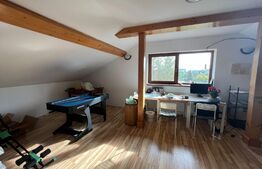 Casa 5 camere, 300 mp, teren, 750 mp, la 30m de lac, Mogosoaia