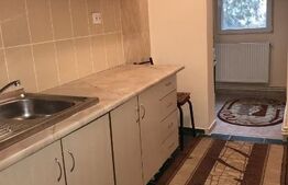 Garsoniera, 30mp, zona Fizicienilor 