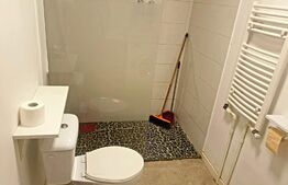 Garsoniera 32mp la curte cu teren si magazie - Tineretului - Timpuri Noi