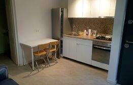 Garsoniera 32mp la curte cu teren si magazie - Tineretului - Timpuri Noi