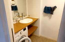 Garsoniera 32mp la curte cu teren si magazie - Tineretului - Timpuri Noi