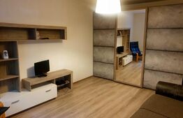 Garsoniera 32mp la curte cu teren si magazie - Tineretului - Timpuri Noi