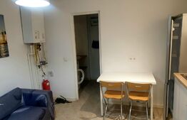 Garsoniera 32mp la curte cu teren si magazie - Tineretului - Timpuri Noi