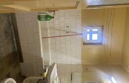 Apartament de vanzare 2 camere, semidecomandat, 47mp, Ion Mihalache