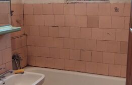 Apartament de 3 camere, 76mp, zona Costin Georgian