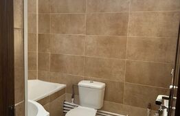 Garsoniera la curte cu teren si boxa proprie, zona Calea Vitan