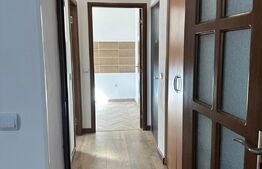 Garsoniera la curte cu teren si boxa proprie, zona Calea Vitan