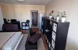 Garsoniera, 30 mp, zona Dristor