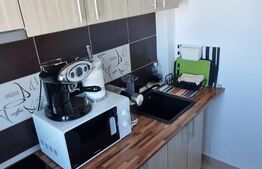 Garsoniera, 30 mp, zona Dristor