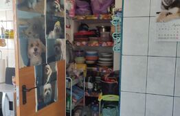 Apartament cu 3 camere, zona Barbu Vacarescu