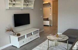 Apartament 2 camere, 55mp, zona Domenii