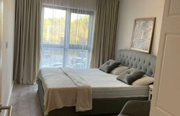 Apartament 2 camere, 55mp, zona Domenii