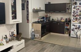 Apartament 3 camere, 60mp, zona Titan Postavarul