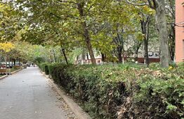 Ocazie! Garsoniera decomandata, 32mp, Nicolae Grigorescu, parc IOR