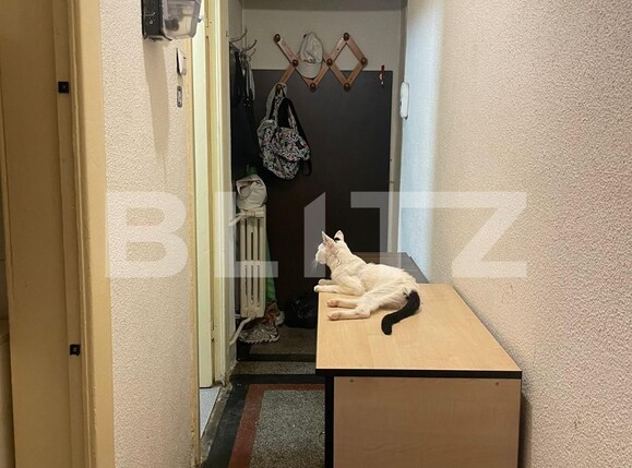 Garsonieră de vânzare Ferdinand - 129686AV | BLITZ București | Poza3