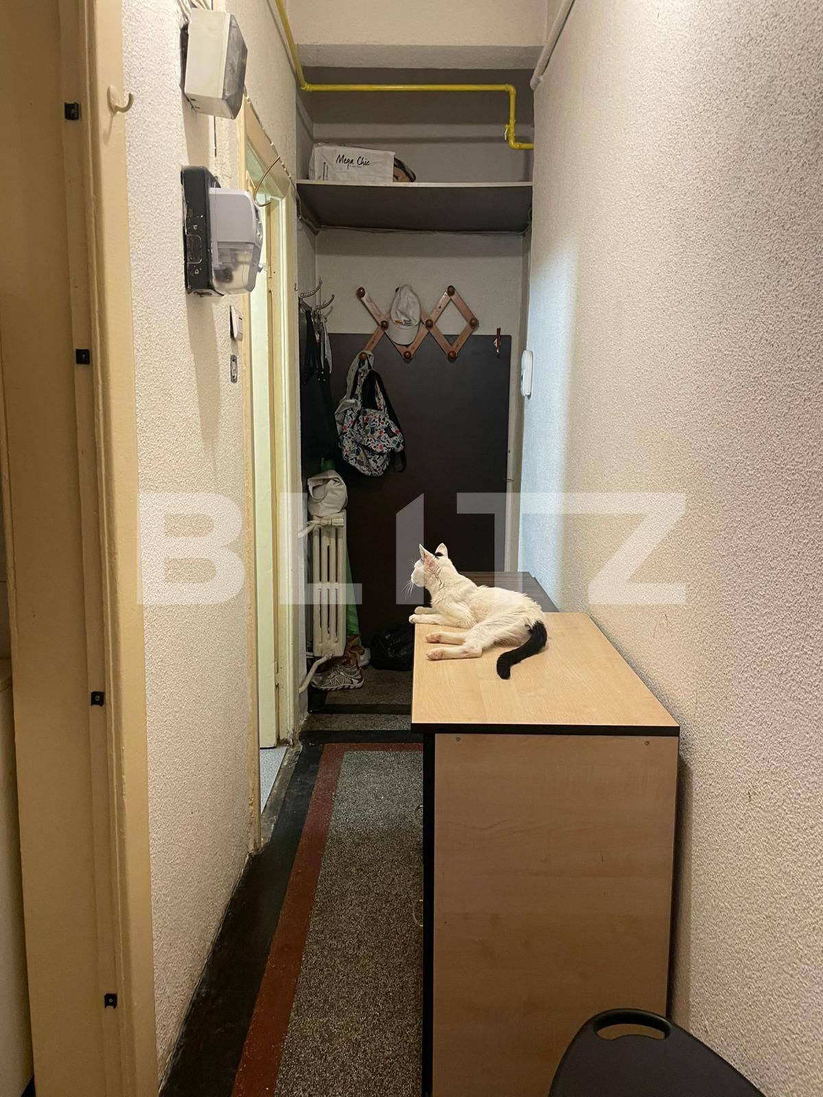 Garsonieră de vânzare Ferdinand - 129686AV | BLITZ București | Poza3