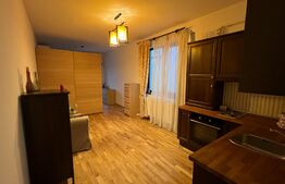 Apartament de o camera/Studio 34mp, cartierul Bucurestii Noi