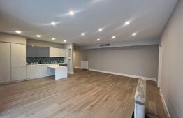 Apartament de lux, 5 camere, 4 bai, gradina 248mp, zona Iancu Nicolae
