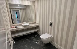 Apartament de lux, 5 camere, 4 bai, gradina 248mp, zona Iancu Nicolae