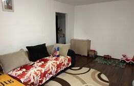 Apartament 2 camere, semidecomandat, 50mp, zona Basarabiei-Costin Georgian