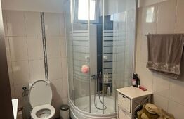 Apartament 4 camere, duplex, ST 102MP, zona Titan-Ozana 