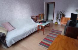 Apartament de 2 camere, 40mp, semidecomandat, Titan-Nicolae Grigorescu