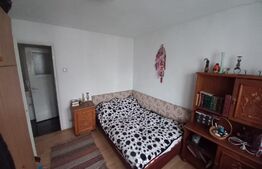 Apartament de 2 camere, 40mp, semidecomandat, Titan-Nicolae Grigorescu