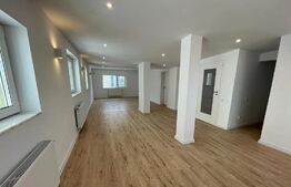 Penthouse Excepțional - Triplex 7 camere- Piața Victoriei 