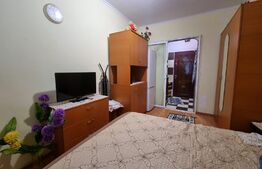 Garsoniera de 17mp langa caminul studentesc ARCCA Pajura