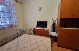 Garsoniera de 17mp langa caminul studentesc ARCCA Pajura