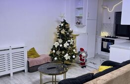 Ocazie! Apartament 2 camere, 40 mp, Bucurestii Noi