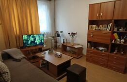 Apartament 2 camere, 50 mp, Dristor Bebe Tei