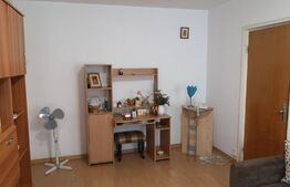Apartament 2 camere, 50 mp, Dristor Bebe Tei