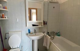 Apartament 2 camere, Titan-Liviu Rebreanu, 50mp