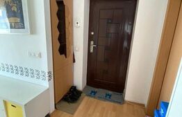 Apartament 2 camere, Titan-Liviu Rebreanu, 50mp