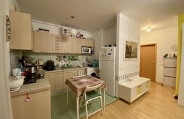 Apartament 2 camere, Titan-Liviu Rebreanu, 50mp