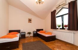 De Vanzare! Vilă Individuala - Iancu Nicolae