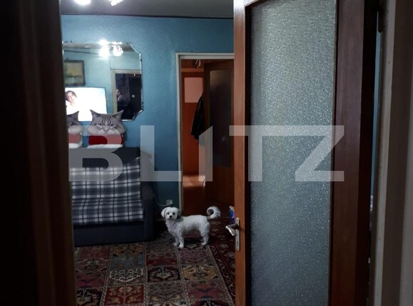 Apartament de vânzare 3 camere Colentina - 134307AV | BLITZ București | Poza5