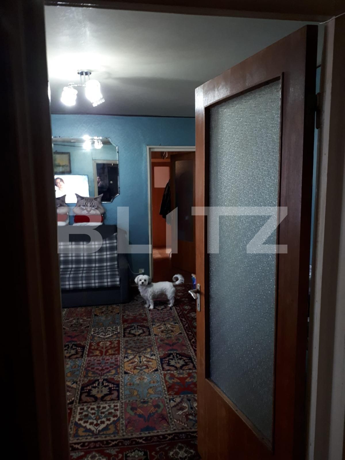 Apartament de vânzare 3 camere Colentina - 134307AV | BLITZ București | Poza5