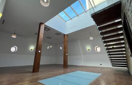 Exclusivitate! Vila de exceptie, anul 1920, restaurata total, 648mp utili, 431mp teren, sauna, piscina interioara si amfiteatru!