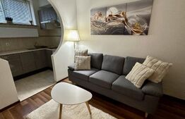 Apartament 2 camere, 32mp in Grozavesti 