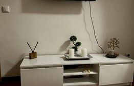 Apartament 2 camere, 32mp in Grozavesti 