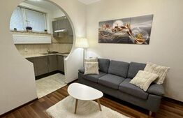 Apartament 2 camere, 32mp in Grozavesti 