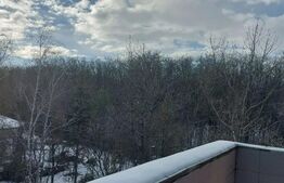 Comision 0% Vila de vanzare in Mogosoaia,de 348 mp construiti ,suprafata teren 1004 mp