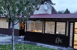 Casa de vanzare, 590 mp teren, Voluntari