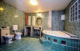 Casa de vanzare in Balotesti, pe malul lacului, suprafata teren de 953  mp