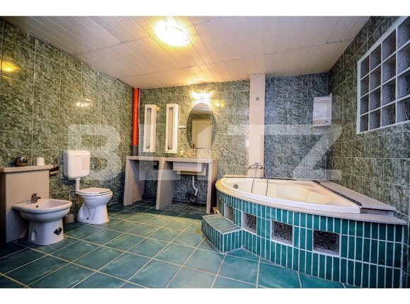 Casa de vânzare 7 camere Balotesti - 138103CV | BLITZ București | Poza7