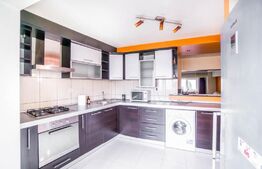 Apartament 4 camere, Bulevardul Unirii, 110 mp