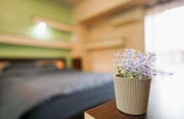 Apartament 4 camere, Bulevardul Unirii, 110 mp